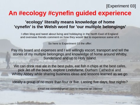 Experiment03 cynefin ecology guided experience