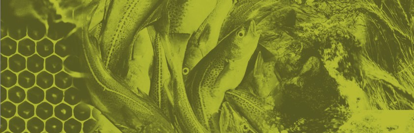 naturalcapitalinitiative